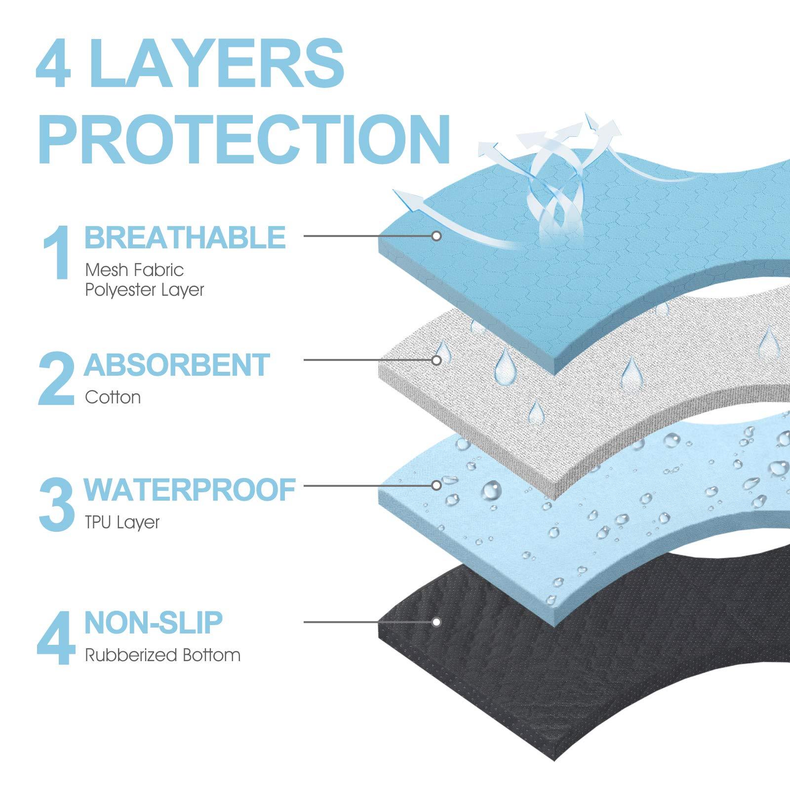 PawDry Training Protection Mat
