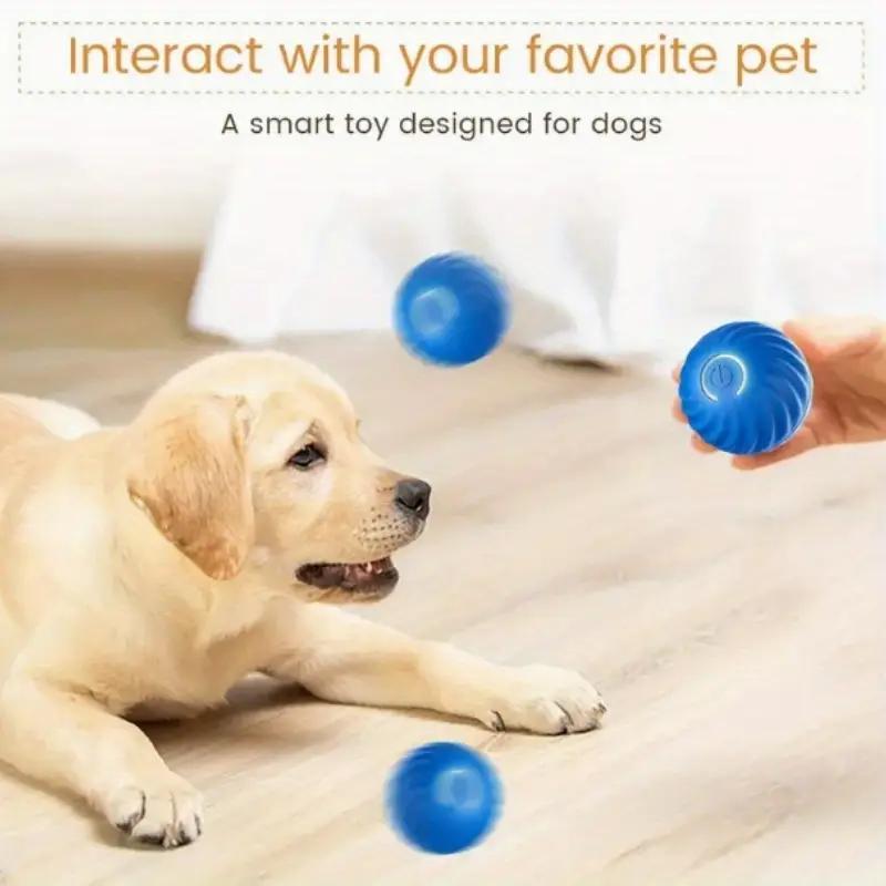 Motion Play Interactive Dog Ball