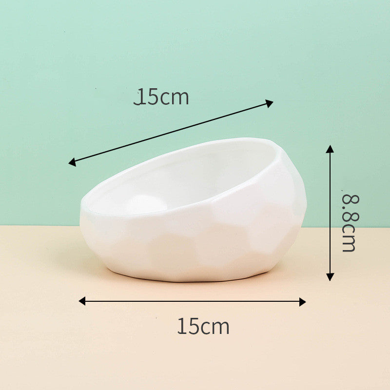 Modern Pet Elevated Ceramic Bowl