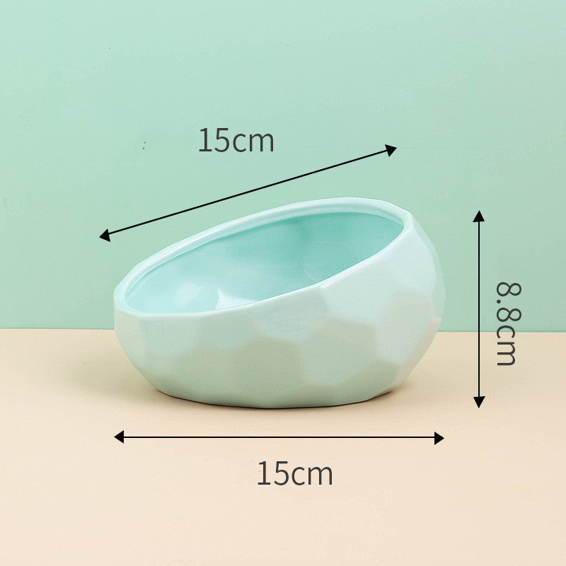 Modern Pet Elevated Ceramic Bowl