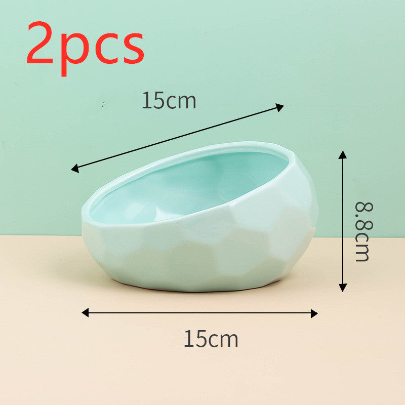 Modern Pet Elevated Ceramic Bowl