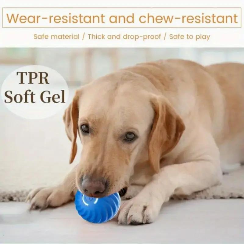 Motion Play Interactive Dog Ball