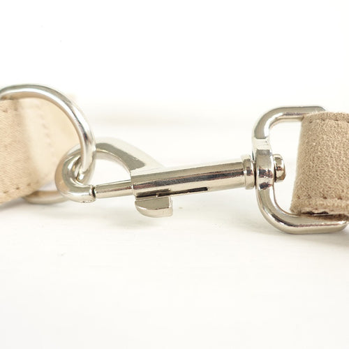 Adjustable Dog Training Collar & Leash