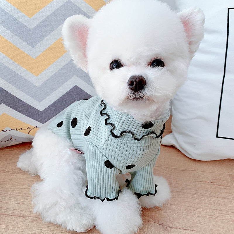 PawStyle Knit Turtleneck