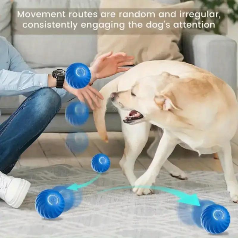 Motion Play Interactive Dog Ball
