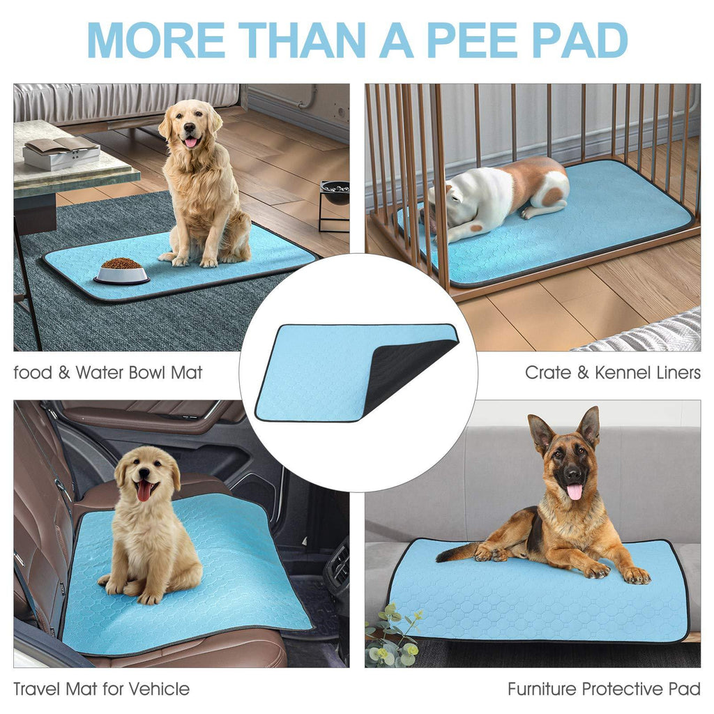 PawDry Training Protection Mat