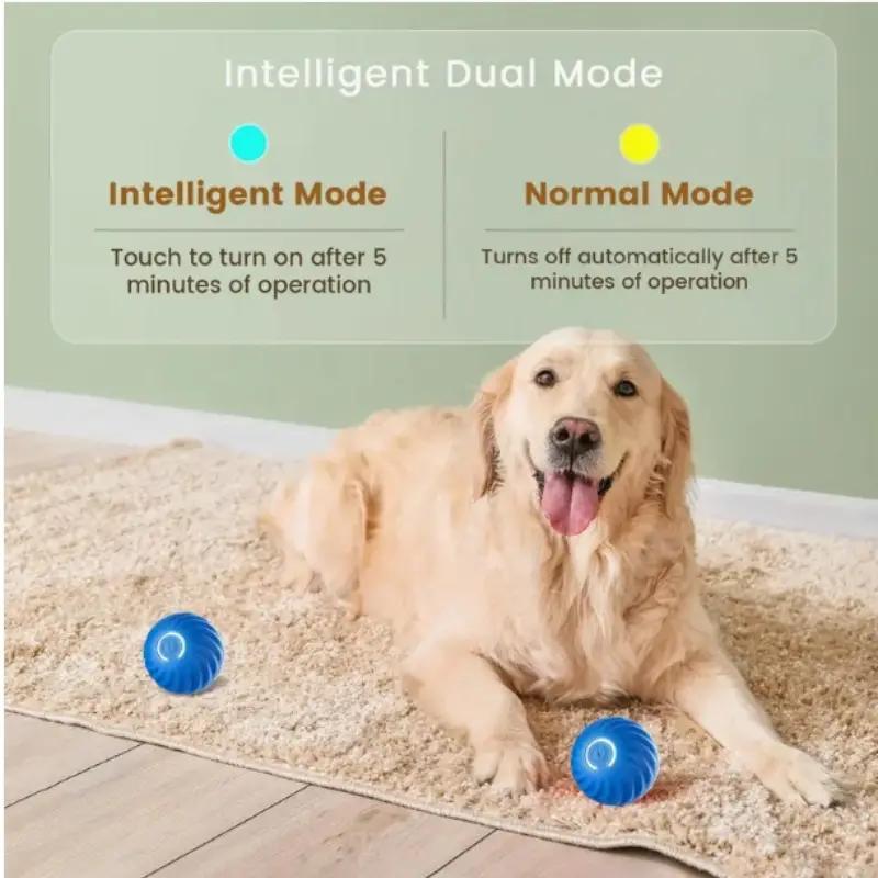 Motion Play Interactive Dog Ball