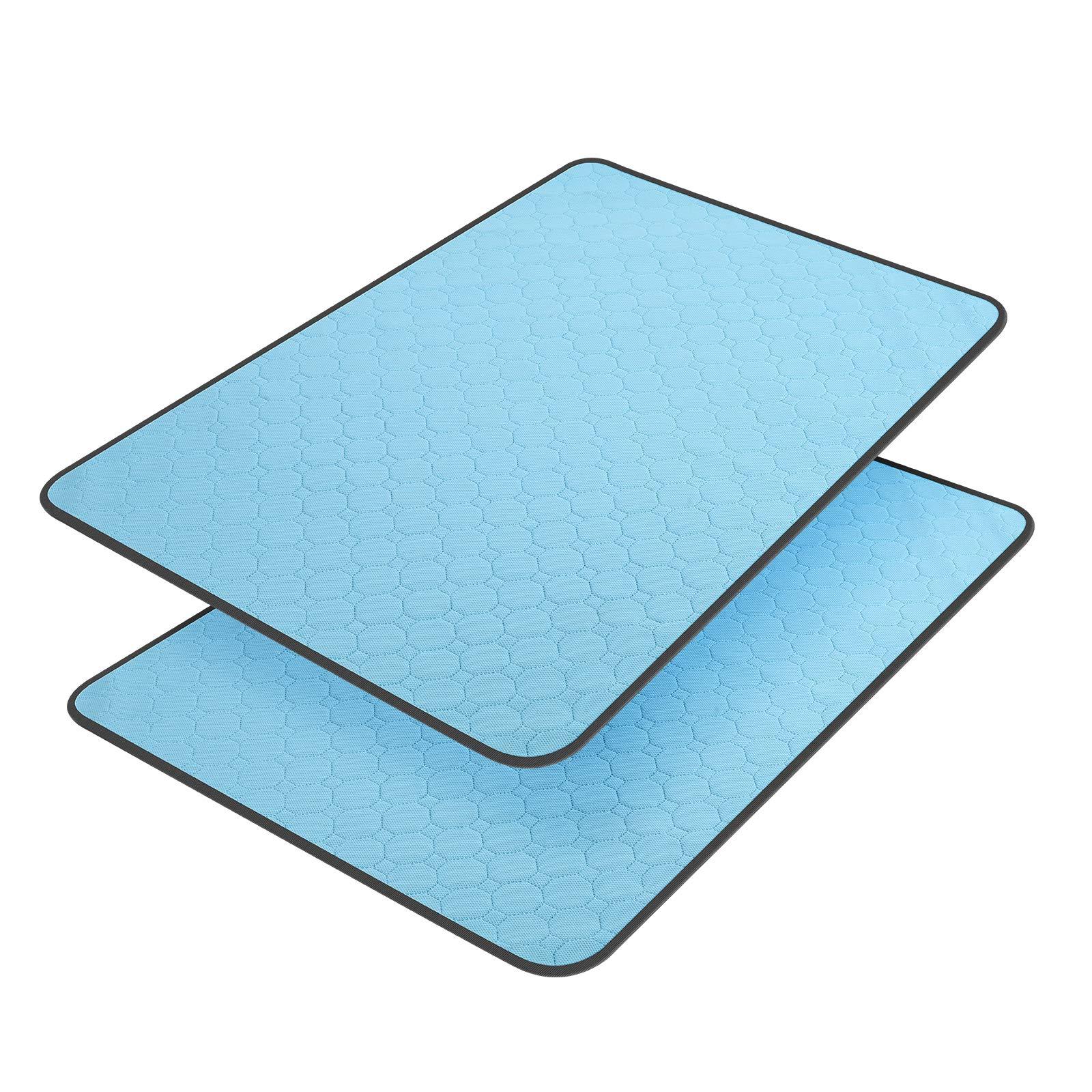 PawDry Training Protection Mat
